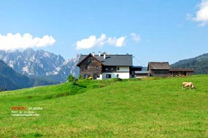 天津自驾恩施张家界沿途景点攻略(天津自驾恩施)